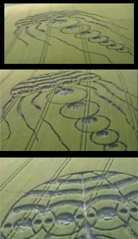Jellyfish Crop Circle