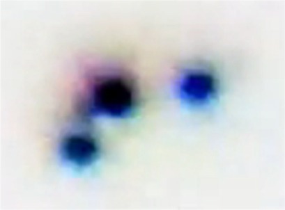 Moscow UFO 4